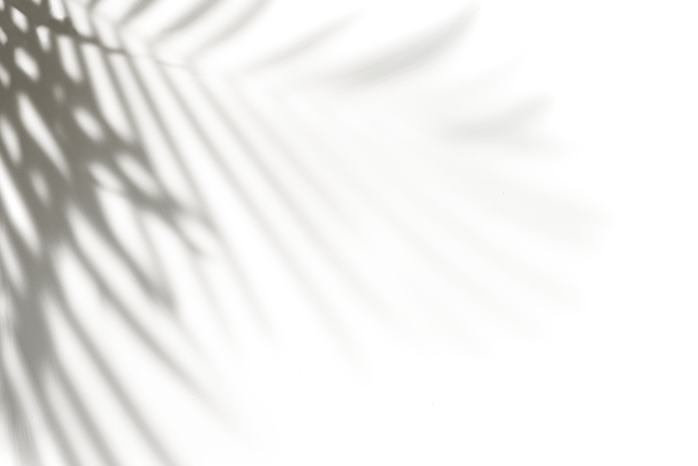 Palm Leaves Shadow